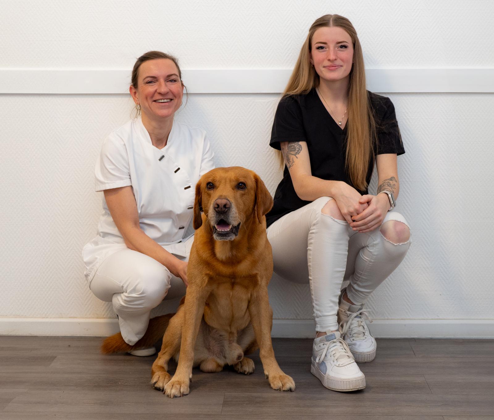 Praxisteam mit Praxishund Cooper – Praxis Dr. Bodamer Berlin-Weißensee